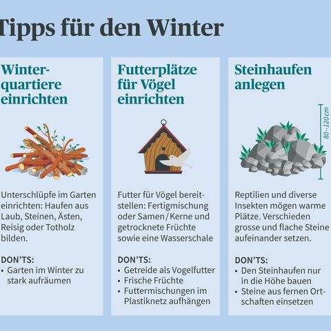 Infografik mit drei Tipps für den Winter: Winterquartiere einrichten, Futterplätze für Vögel einrichten und Steinhaufen anlegen.