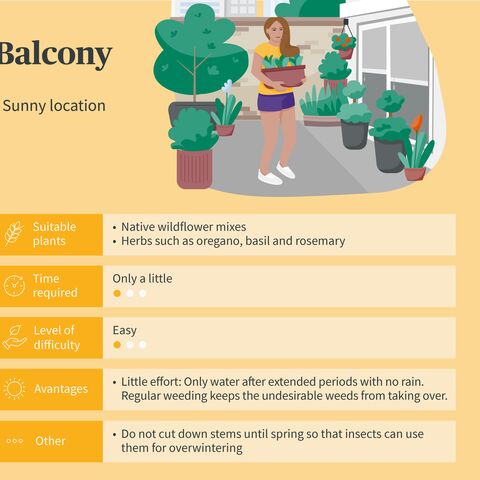 Illustration of a balcony with plants and a person holding a flower pot. Text explains suitable plants and care instructions for sunny balconies.