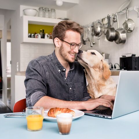 Ein Mann sitzt lächelnd an einem Tisch mit einem Laptop, während ein Hund neben ihm steht. Auf dem Tisch stehen ein Croissant, Orangensaft und ein Cappuccino.