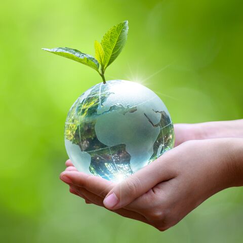 Deux mains tiennent un globe terrestre transparent d’où pousse un petit germe vert, sur un fond vert flou.