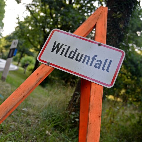 Warnschild "Wildunfall" am Strassenrand vor einer Kurve, im Hintergrund fährt ein schwarzes Auto auf einer Landstrasse entlang.