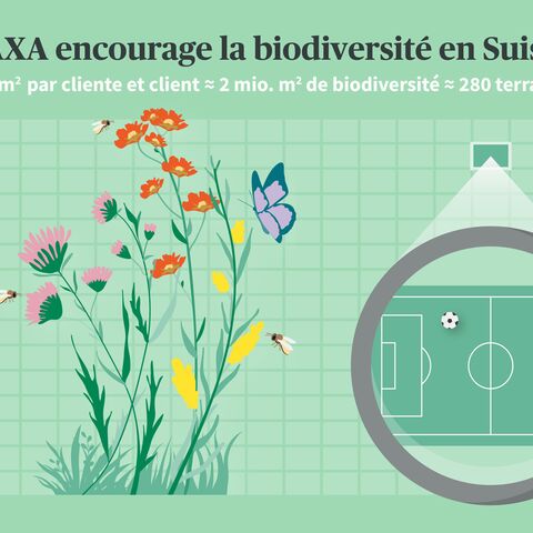 L'illustration montre des fleurs et des insectes à côté d'une loupe qui agrandit un terrain de football. Le texte explique la contribution d'AXA à la biodiversité en Suisse.