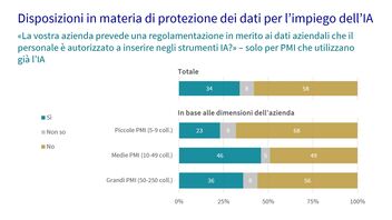 Un diagramma che illustra la regolamentazione della protezione dei dati nell’ambito dell’IA.