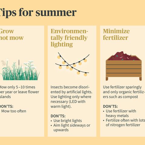 Infographic with three summer tips: Wild growth instead of mowing the lawn, eco-friendly lighting and minimize fertilizer, each with do’s and don’ts.