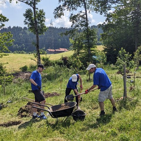 Un groupe de quatre personnes vêtues de T-shirts bleus plante des arbres sur une pelouse verte avec des brouettes et des pelles.