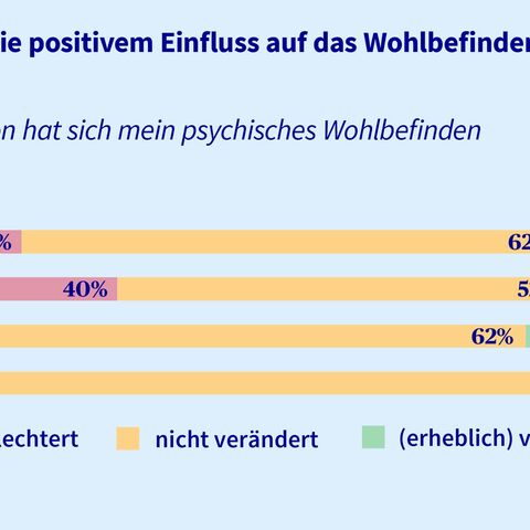 Ein Balkendiagramm zeigt auf, wie sich das psychische Wohlbefinden während im negativen, wie im positiven Verändert hat.