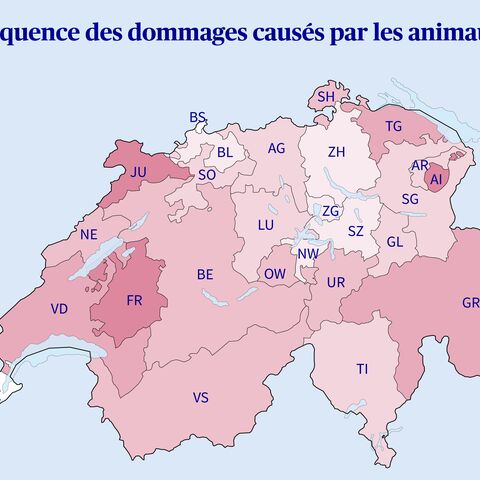 La carte de la Suisse indique la fréquence des dommages causés par des animaux et du gibier en 2021 en pour mille, avec des couleurs allant de <2 à ≥6, les régions les plus touchées étant VD, FR et GR.