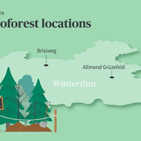 A map of the microforests located in Winterthur. At the bottom left is a microforest.