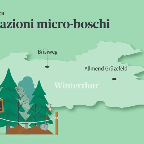 Una mappa delle ubicazioni dei micro-boschi a Winterthur. In basso a sinistra è riportato il micro-bosco.