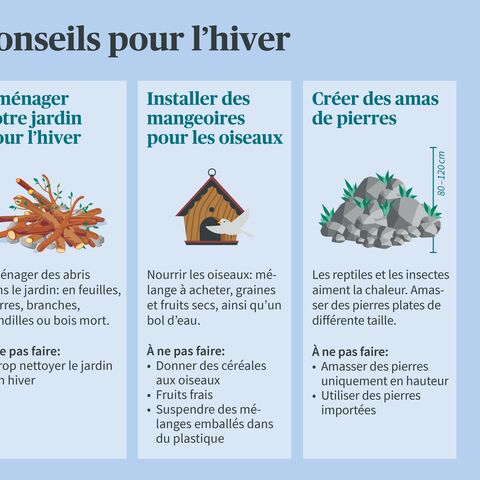 Infographie avec trois conseils pour l’hiver: Aménager des abris d’hiver, des aires d’alimentation pour les oiseaux et des tas de pierres.