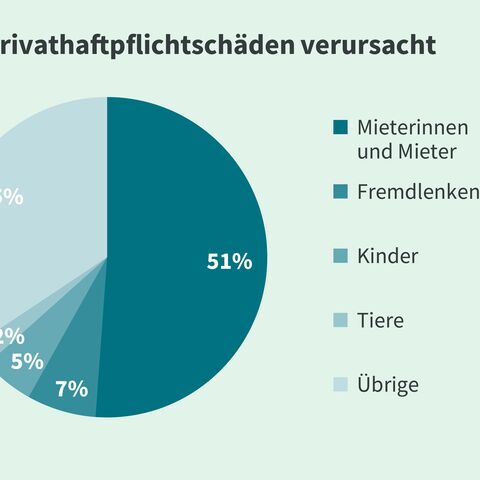 Ein Kreisdiagramm zeigt, dass 51% der Privathaftpflichtschäden von Mieter:innen verursacht werden, gefolgt von Fremdlenkenden (35%) und Kindern (7%).