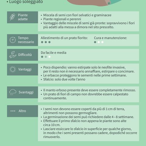 Illustrazione di un giardiniere che pianta fiori davanti a una casa, con testo: Consigli su piante adatte, tempo impiegato, grado di difficoltà, vantaggi e svantaggi.