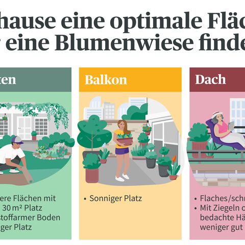 Illustration zur Auswahl optimaler Flächen für eine Blumenwiese: Garten, Balkon oder Dach, jeweils mit spezifischen Anforderungen und Tipps.