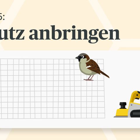 Schritt 5 zeigt das Anbringen eines Schutzgitters an einem Insektenhotel, um es vor Vögeln zu schützen, dargestellt mit Netz, Vogel und Tacker.