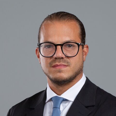 Mario D'Elena