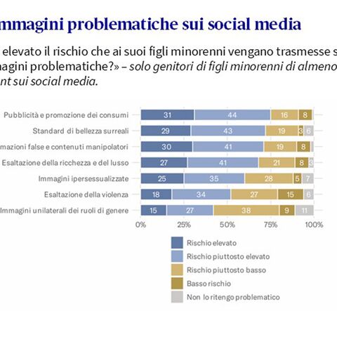 i vari rischi legati alle immagini sui social media sono stati valutati su una scala che va da «elevato» a «non problematico» e rappresentati in un grafico a barre
