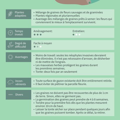 Illustration d’un jardinier plantant des fleurs devant une maison, avec texte: conseils sur les plantes appropriées, temps nécessaire, niveau de difficulté, avantages et inconvénients.