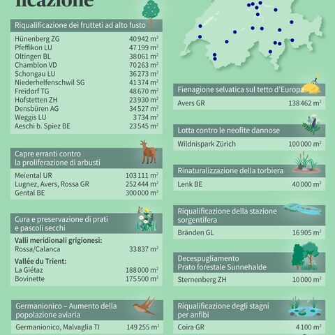 L'infografica mostra diversi progetti di valorizzazione di Flora Futura in Svizzera, con indicazioni sulla mappa e simboli esplicativi dei progetti.