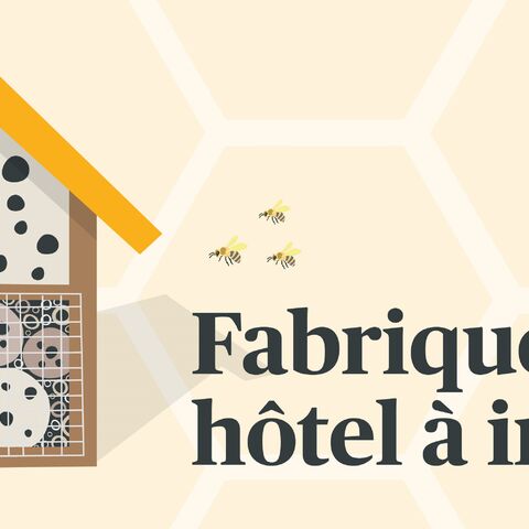 Illustration d'un hôtel pour insectes avec différents matériaux de remplissage, avec à côté le texte « Instructions de construction d'un hôtel pour insectes » et des insectes volants.