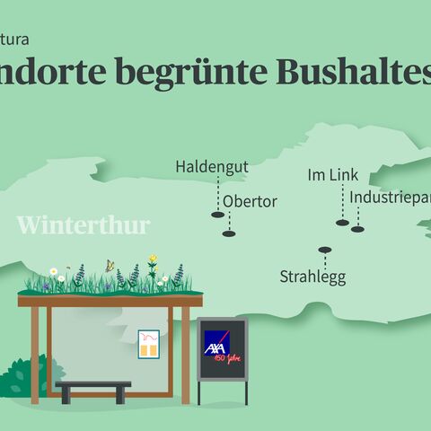 Grafik der begrünten Haltestellen Stanorte. Unten links steht die  Haltestelle und dahinter eine Karte von Winterthur.