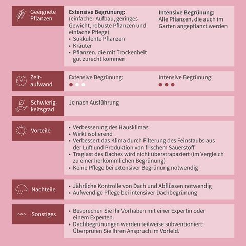 Eine Frau sitzt auf einem begrünten Dach, das durch eine Tabelle mit Vergleichspunkten für extensive und intensive Dachbegrünung erklärt wird.