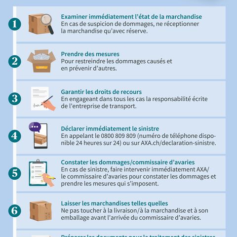 Infographie sur le sujet : Étapes à suivre en cas de dommage pendant le transport, de l'examen des marchandises à la fourniture de documents, en passant par la déclaration du dommage.