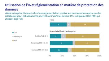 Un diagramme montre les dispositions en matière de protection des données en cas d’utilisation de l’IA dans les entreprises.
