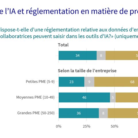 Un diagramme montre les dispositions en matière de protection des données en cas d’utilisation de l’IA dans les entreprises.