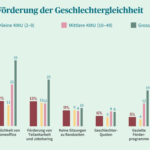 Ein Balkendiagramm zeigt Massnahmen zur Förderung der Geschlechtergleichheit in Unternehmen unterschiedlicher Grösse, wie flexible Arbeitszeiten und Gender-Förderprogramme.