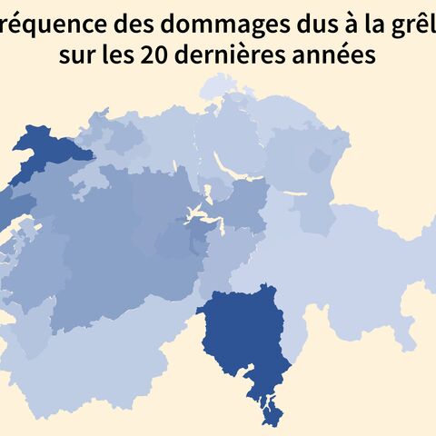 Graphique: Fréquence des dommages dus à la grêle sur les 20 dernières années