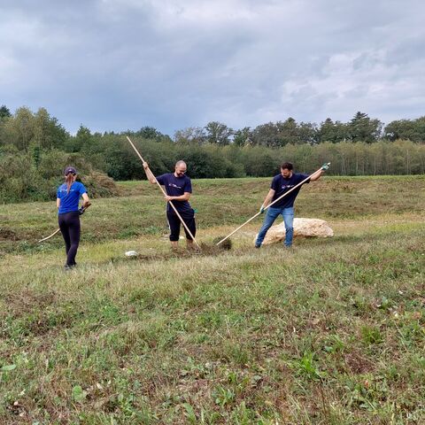 Four people work in a meadow with rakes in their hands. Trees and a cloudy sky can be seen in the background.
