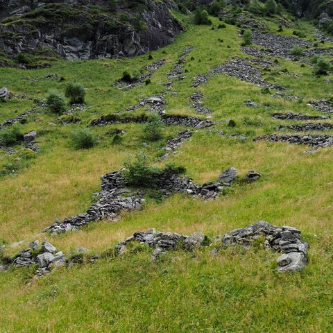 Steinhaufen liegen verteilt auf einer Wiese.