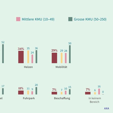Ein Balkendiagramm zeigt die Massnahmen von Unternehmen in den Bereichen Abfall, Biomaterial, Energie, Heizen, Mobilität, IT, Logistik, Kühlmittel, Fuhrpark, Beschaffung und kleine Bereiche.