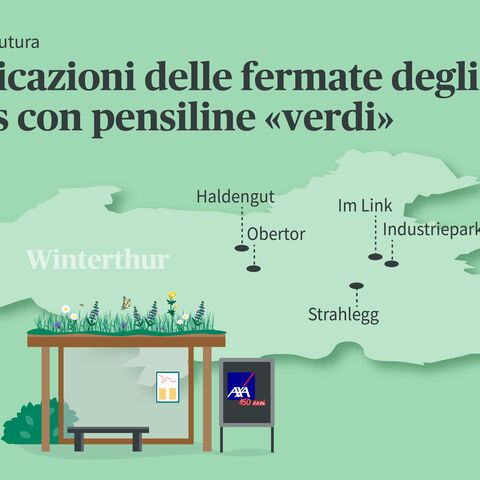 Grafico delle ubicazioni delle fermate «verdi». In basso a sinistra la fermata e sullo sfondo una piantina di Winterthur.