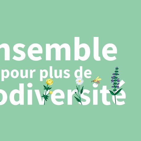 Illustration "Ensemble pour plus de biodiversité"