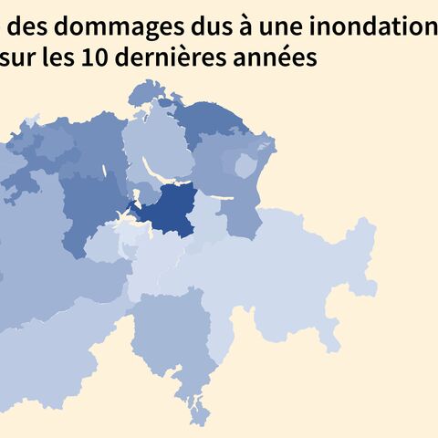 La carte de la Suisse montre la fréquence des dommages dus à une inondation au cours des dix dernières années. Les dommages fréquents sont signalés en bleu foncé, les dommages rares en bleu clair.