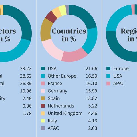 Chart of the portfolio of the global real estate fund: Sectors, countries, and regions