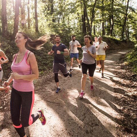 A group of colleagues jogging through a forest.