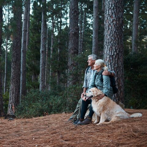 Un couple âgé est assis avec son chien au bord de la forêt et profite de la vue.