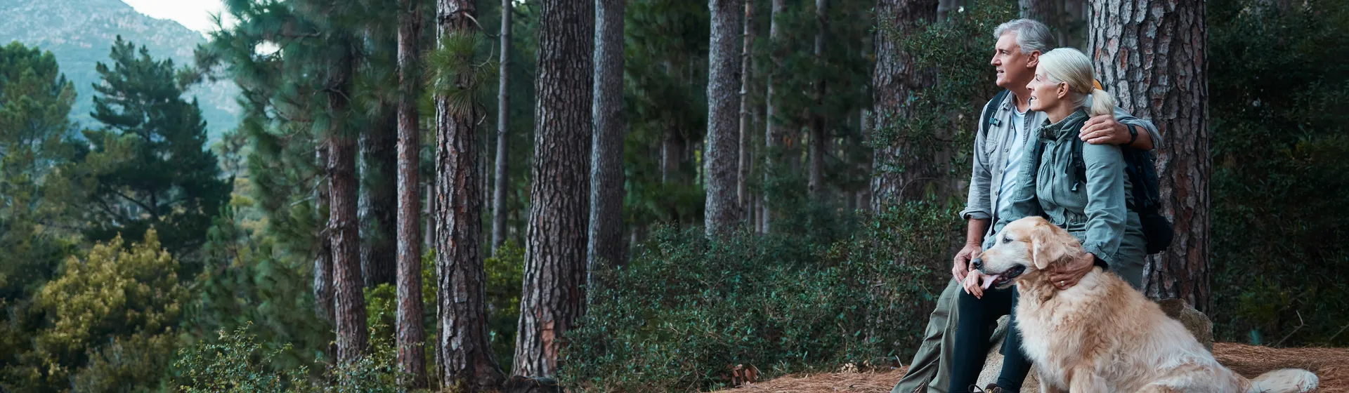 Un couple âgé est assis avec son chien au bord de la forêt et profite de la vue.