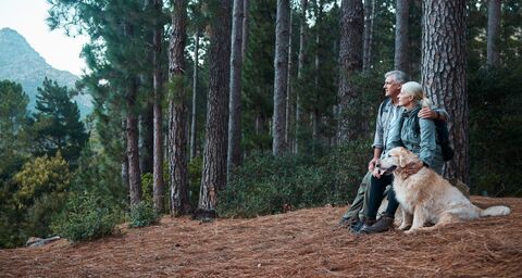 An elderly couple sits with their dog at the edge of the forest and enjoy the view.