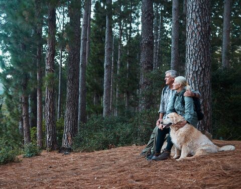 An elderly couple sits with their dog at the edge of the forest and enjoy the view. 