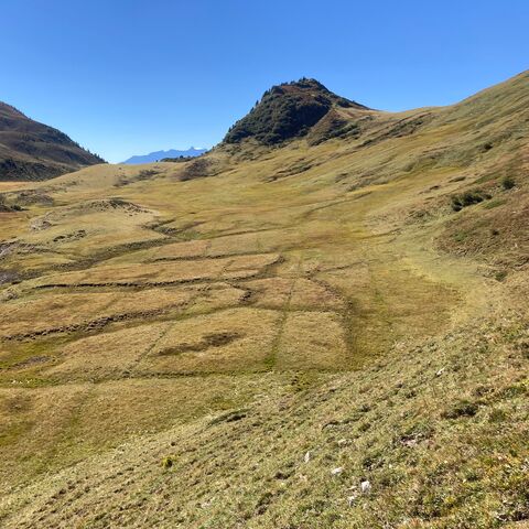 Au premier plan, un haut marais traversé par un petit ruisseau. À l’arrière-plan, on peut voir les montagnes.