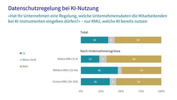 Ein Diagramm zeigt, wie der Datenschutz bei KI-Nutzung in den Unternehmen geregelt ist.