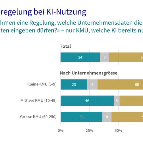 Eine Infografik zeigt, wie der Datenschutz bei KI-Nutzung geregelt ist.