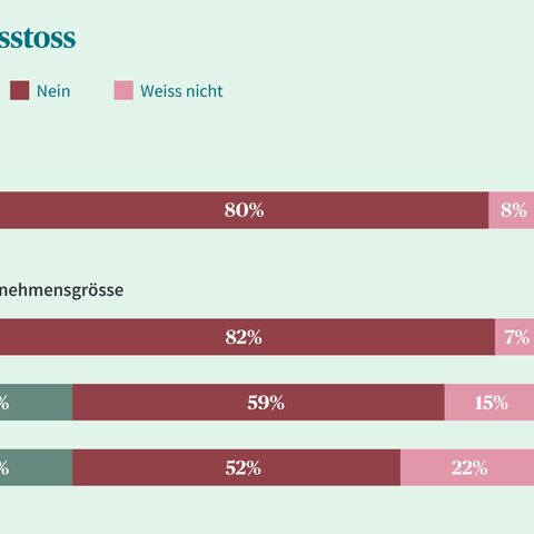 Balkendiagramm zeigt, dass 12% der Befragten den CO₂-Ausstoss kennen, 80% nicht und 8% unsicher sind, aufgeschlüsselt nach Unternehmensgrösse.