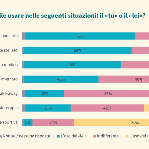 Un diagramma a barre mostra le preferenze per il «tu» o il «lei» in diverse situazioni, ad es. uno studio medico (48% lei) e un’associazione sportiva (70% tu).