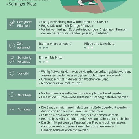 Illustration eines Gärtners, der vor einem Haus Blumen pflanzt, mit Text: Tipps zu geeigneten Pflanzen, Zeitaufwand, Schwierigkeitsgrad, Vorteile und Nachteile.