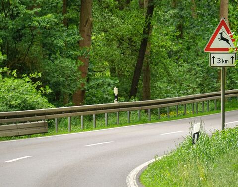 Eine Strasse durch einen Wald. Am Strassenrand steht ein Schild für einen Wildwechsel.