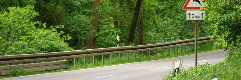 Strasse ausserorts mit Schild Wildwechsel